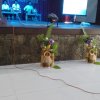 සාහිත්‍ය උළෙල - 2023